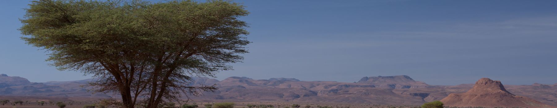 Controtendenza Banner Viaggio Marocco 1
